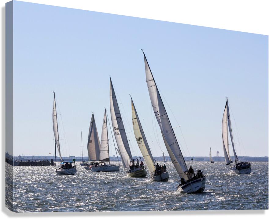 Sailing Canvas Print