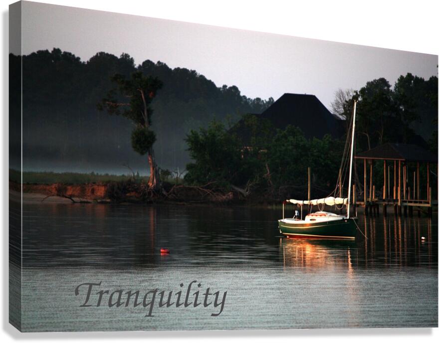 SkipJack Canvas Print