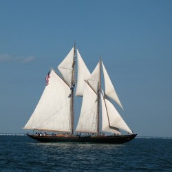 SV Virginia