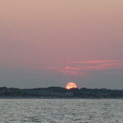 Purple Haze Horizon
