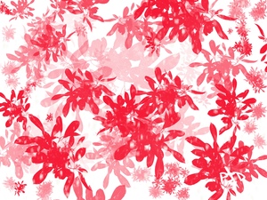 Red Floral Print