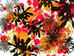 Abstract Floral