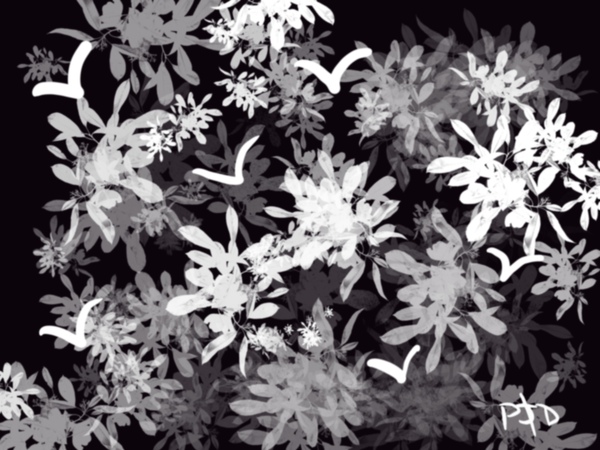 Black & White World Print