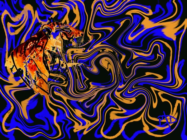 Seek and Ye Shall Find Print