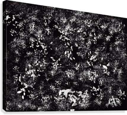 Abstract Canvas Print