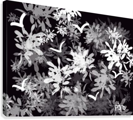 Black & White World Canvas Print