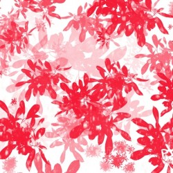 Red Floral Print
