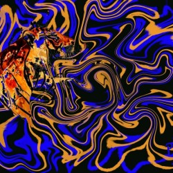 Seek and Ye Shall Find