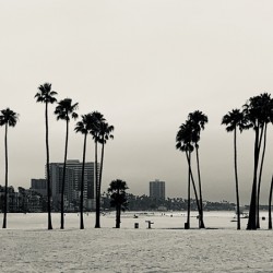Alamitos Beach Long Beach