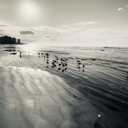 Coronado Island CA