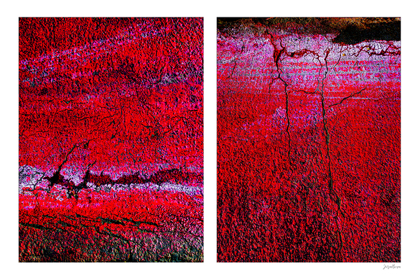 Seeing Red 02 Print