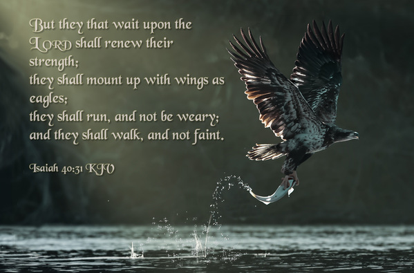 Isaiah 40:31  Print