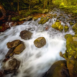 Stream Play