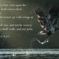 Isaiah 40:31 