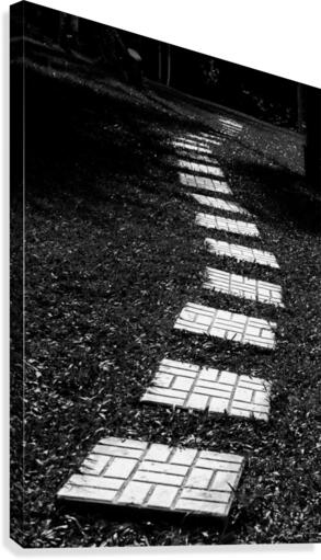 Path to the Unknown  Canvas Print