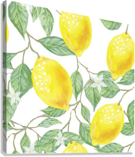 Fruit Lemon Canvas Print