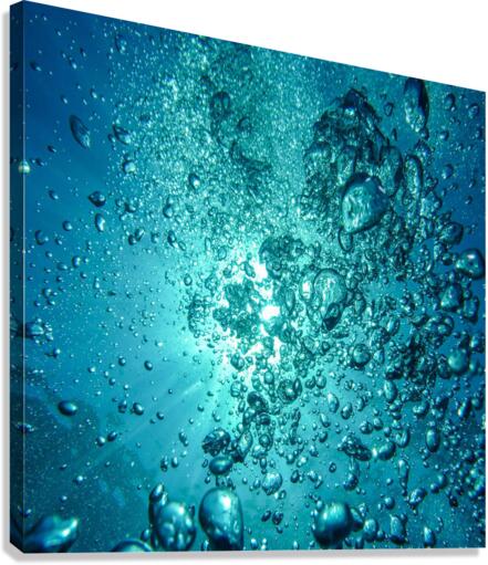 Bubbles Water Bub Canvas Print