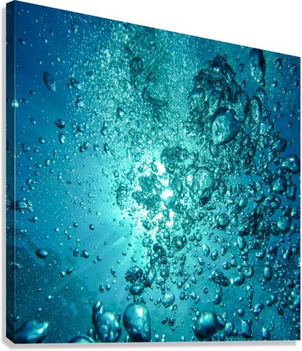Bubbles Water Bub Canvas Print