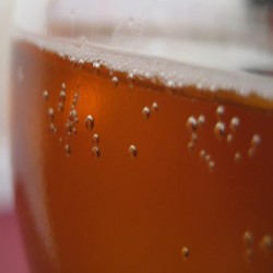 bubble beer
