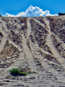 Navajo Creek