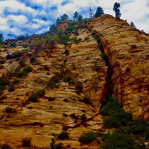 ZION UW