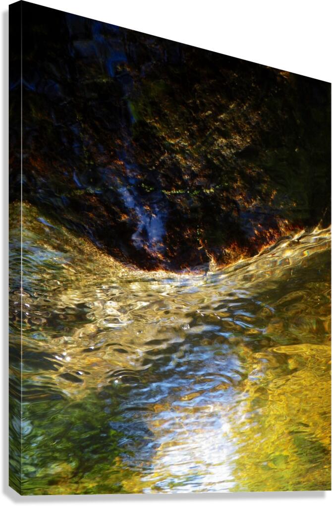 The Deep Canvas Print