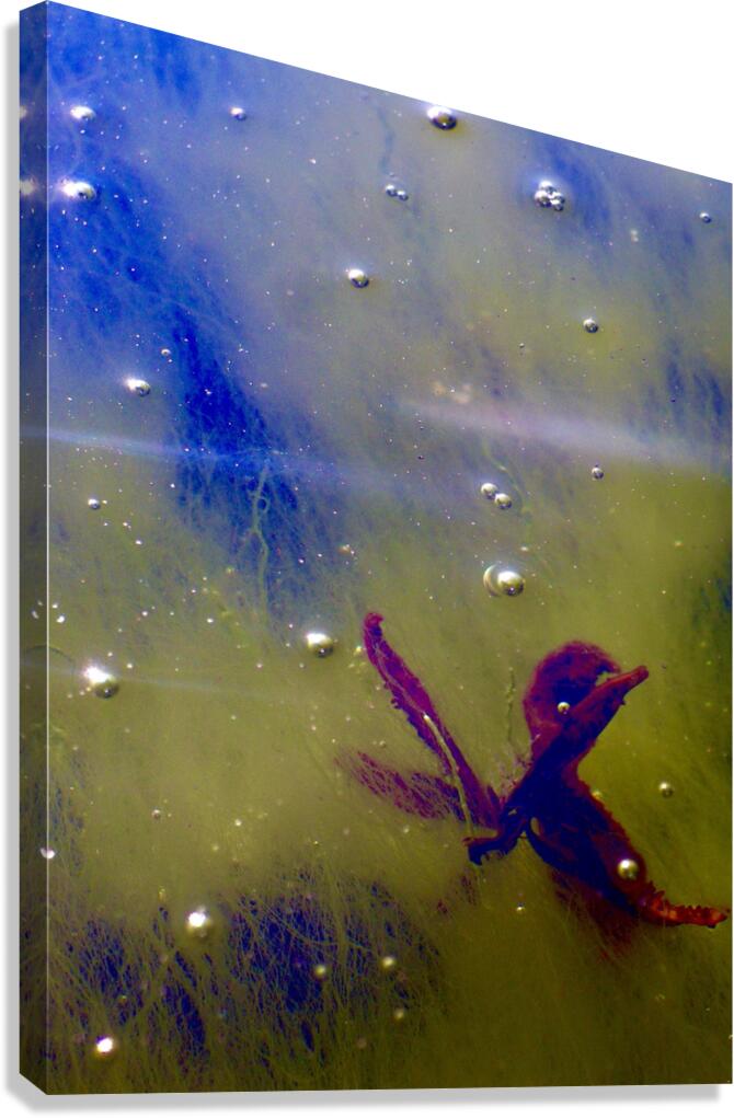 The Wolfneck Canvas Print