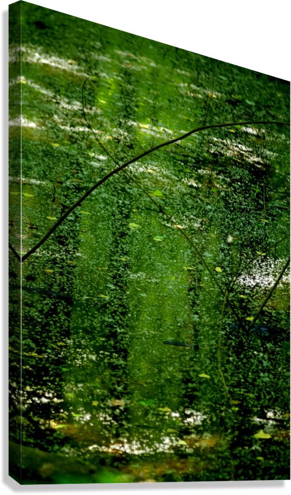  CRP Canvas Print