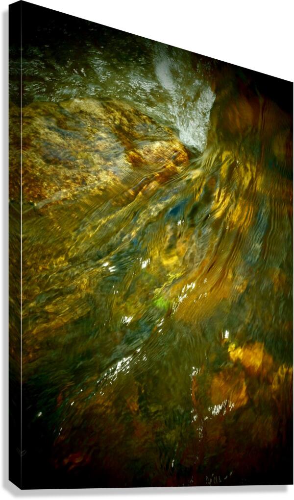 Thayer I Canvas Print