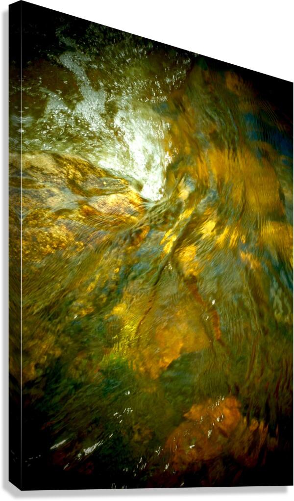 Thayer II Canvas Print
