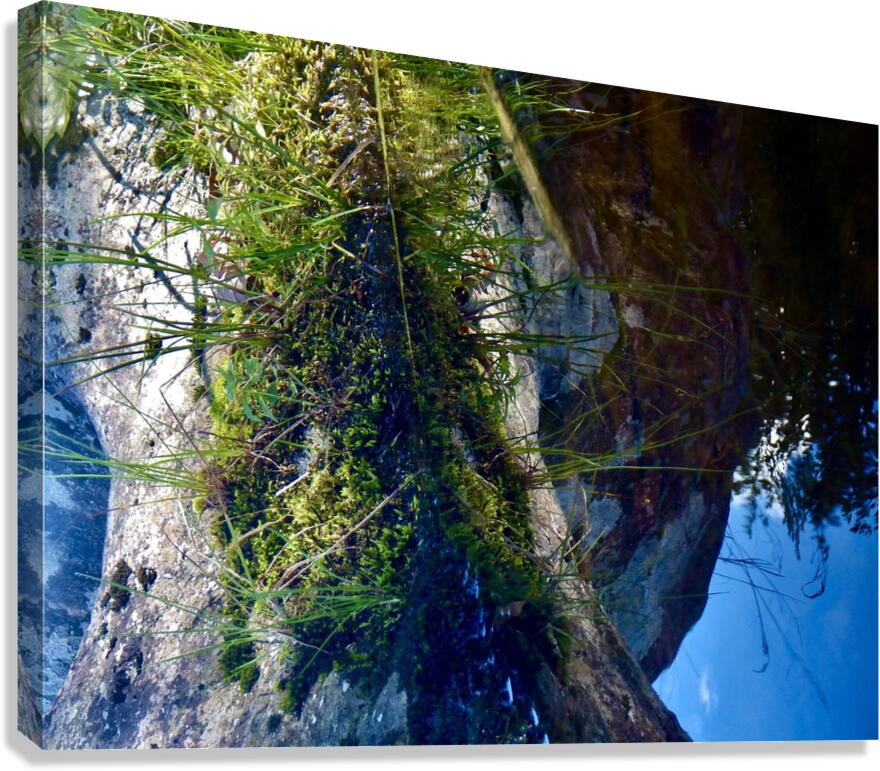 Float Canvas Print