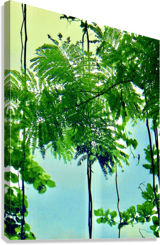 Nanny Tree Canvas Print