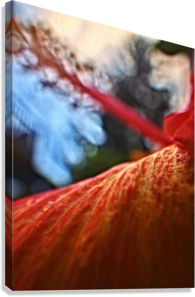 UF27 Canvas Print