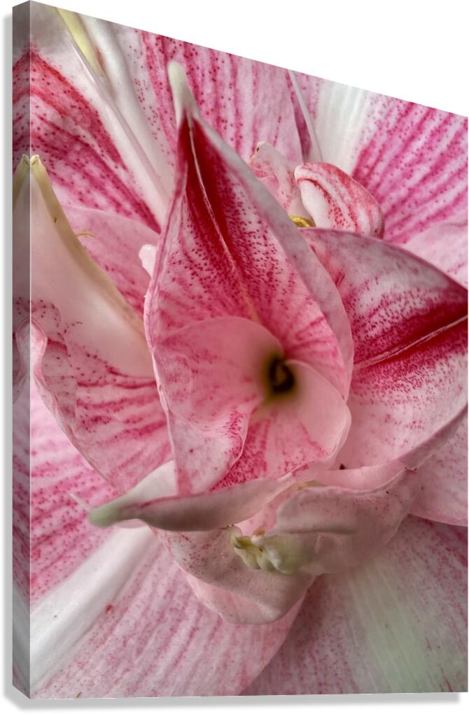 UF64 Canvas Print