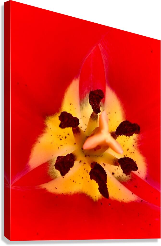 UFR Canvas Print