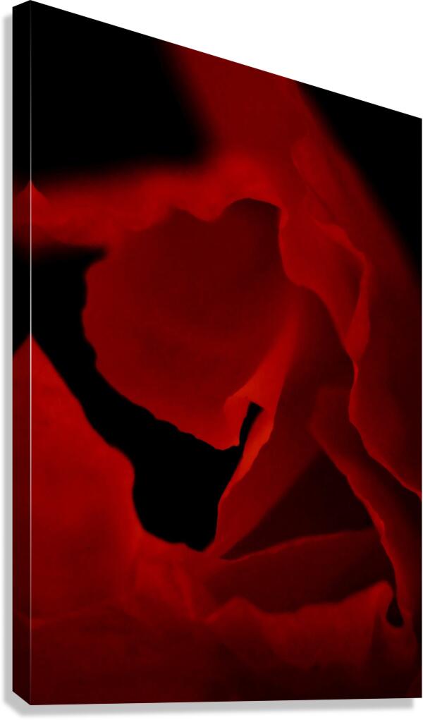 CBG Canvas Print