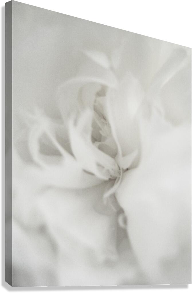 Homer Canvas Print