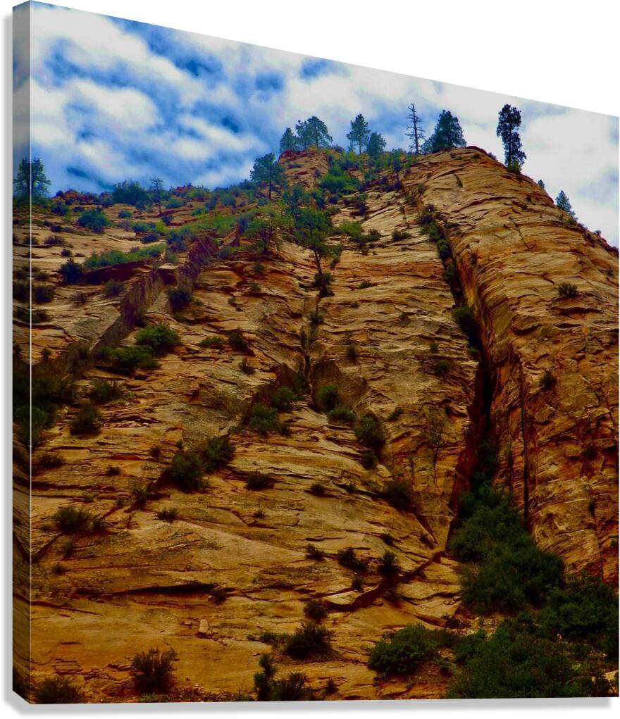 ZION UW Canvas Print