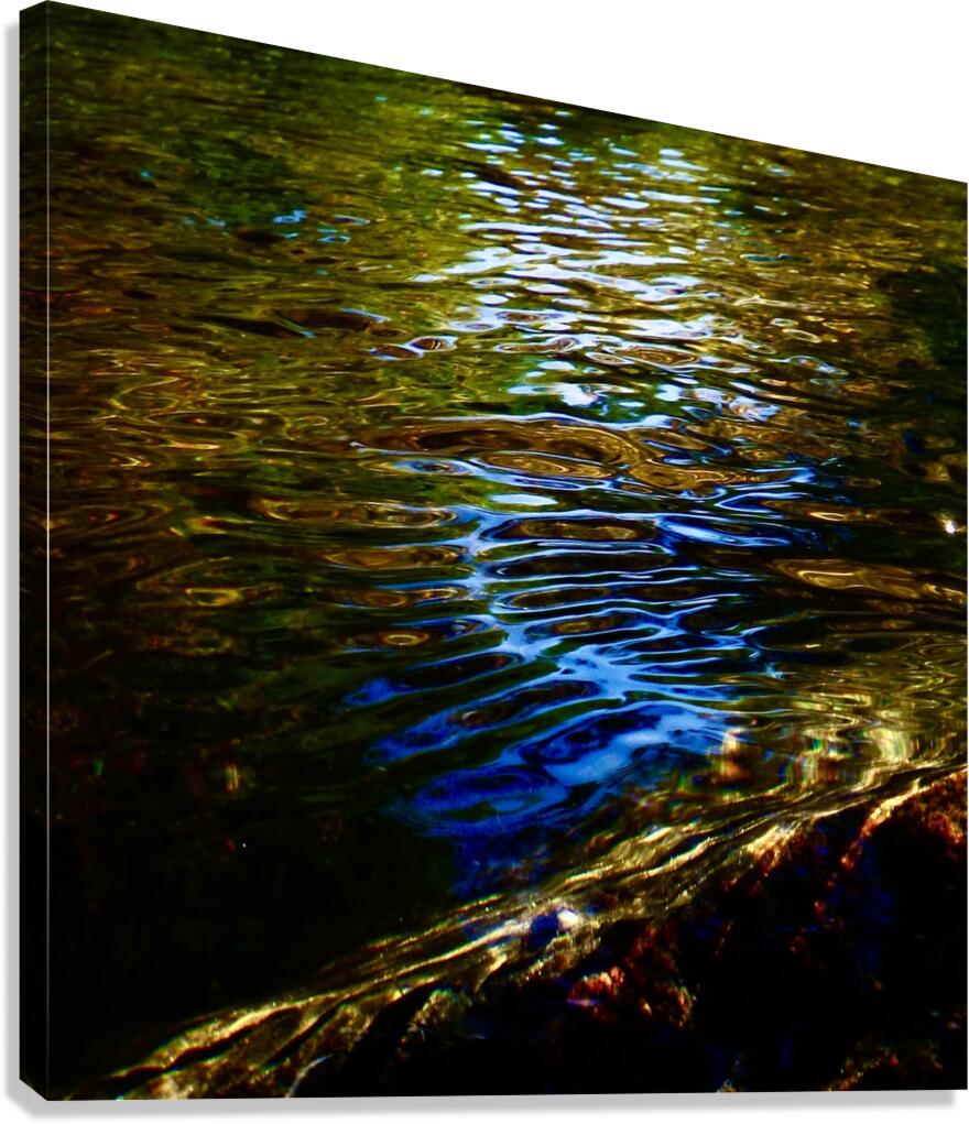 DON Canvas Print