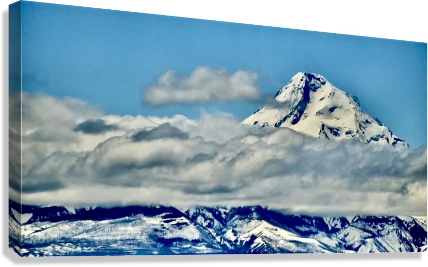 Mt. Hood Canvas Print
