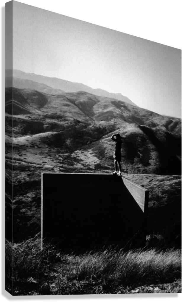 the View Canvas Print