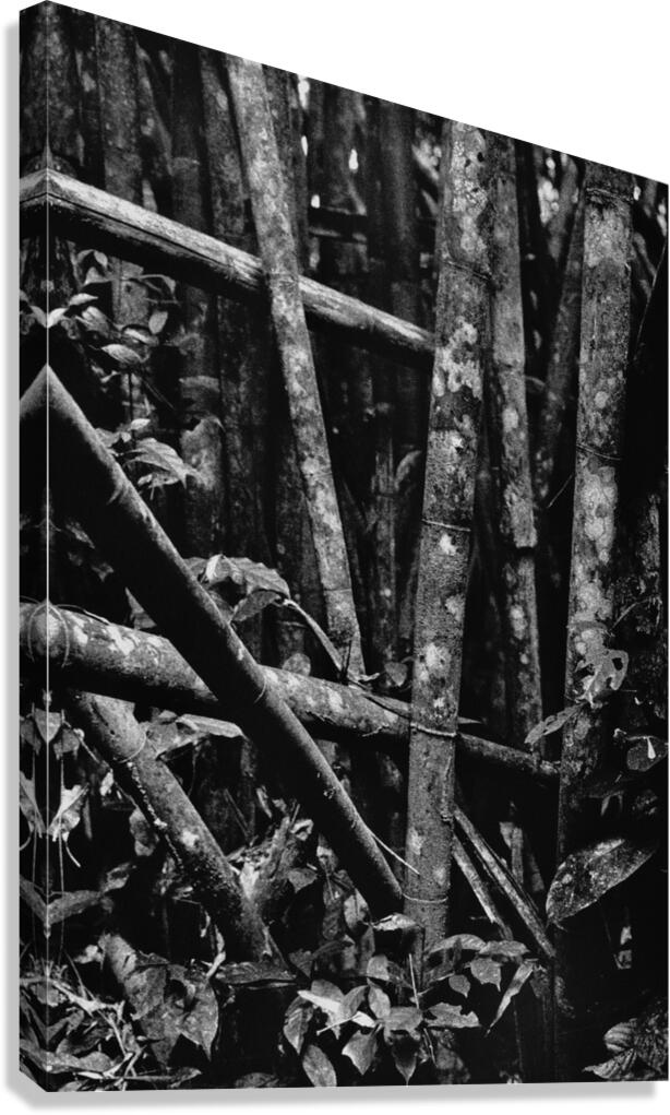 THAIboo Canvas Print