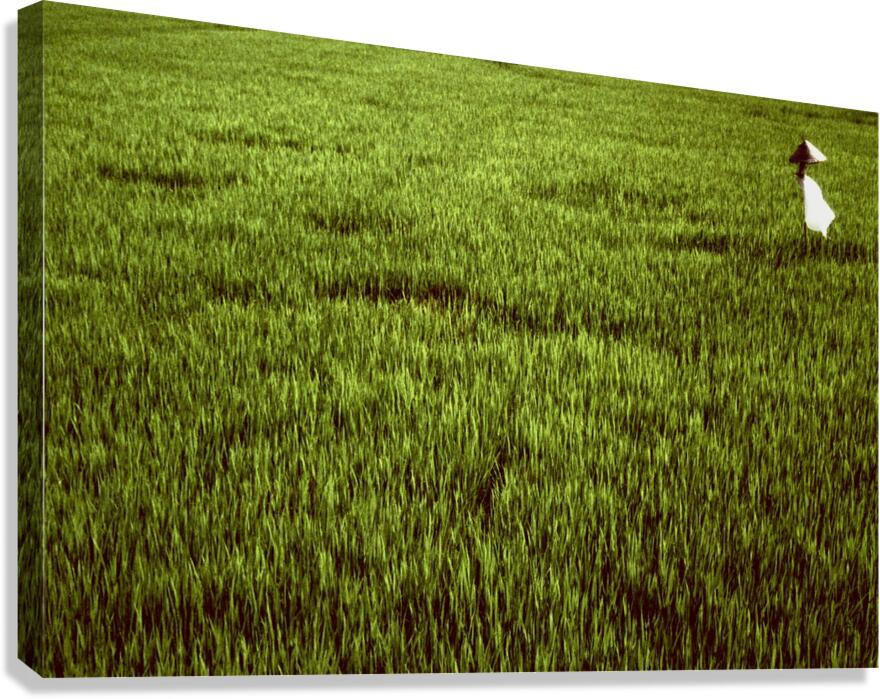 Bu nhin Canvas Print