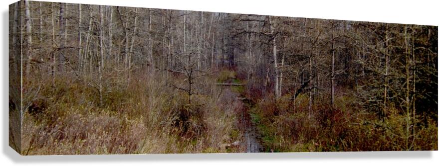 Buehlah Canvas Print