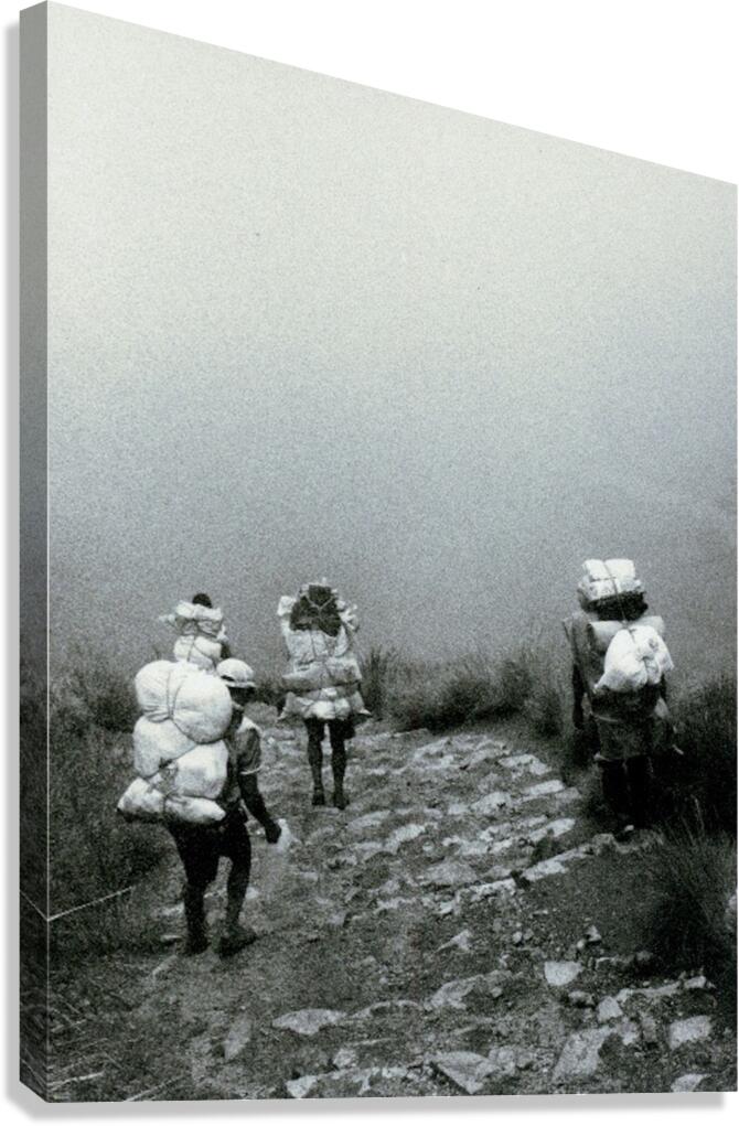 Inca Down Canvas Print