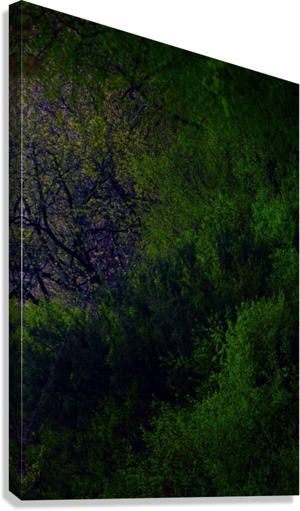 Lapham Canvas Print