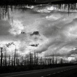 the BURN in camera manipulation