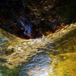 The Deep