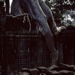 Anchor Wat II