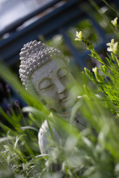 IMG 0645 Print